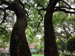 -复旦大学附属华山医院(总院)