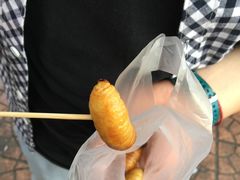 虫蛹-班赞海鲜市场