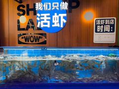 -0048鲜活香辣虾·火锅(铜陵路店)
