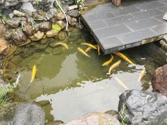 -遥桥古堡