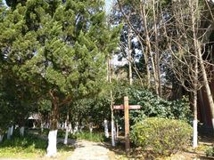 -白马涧龙池景区