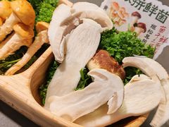 -楠小云·云南鲜菌·鲜牛自助火锅(九眼桥店)