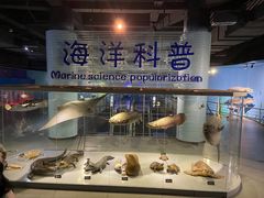 -泉城欧乐堡海洋极地世界