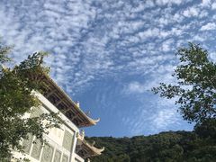 -黄埔油麻山森林公园