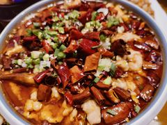 苕粉水煮肉片-重庆石磨豆花庄(乔庄店)