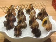 海螺-尚海豆捞(乐虹坊店)