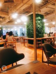 -悦诗风吟innisfree