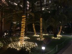 -三亚湾海居铂尔曼度假酒店