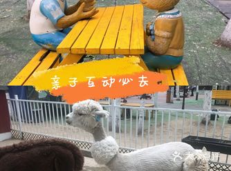 遛娃放电就来“蓝可可亲子乐园”