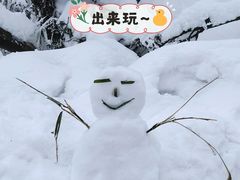 -瓦屋山景区