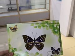 -上海昆虫博物馆