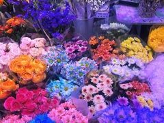 -花鸟鱼虫鲜花绿植市场(玉泉路店)