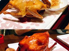 经典盐焗鸽-大鸽饭(岗顶店)