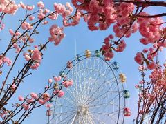 -海上田园