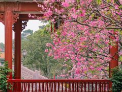 -宝墨园景区