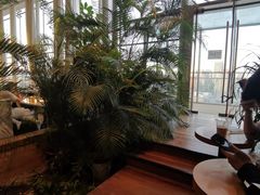 -Seesaw Coffee(朝阳大悦城店)