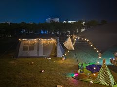 -春花秋色城市公园