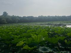 -长春市南湖公园