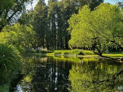 -共青国家森林公园-南大门停车场