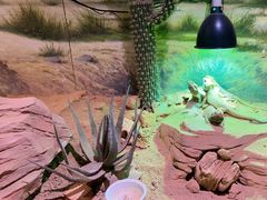 -正佳雨林生态植物园