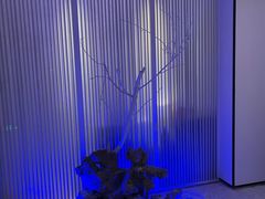 -墨宴(西洋湖店)
