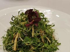 香菜苗-浦江二号·独栋江景餐厅(滨江大道店)