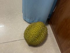 -广百家超市(大东海店)