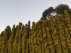 -云南滇池花园国际大酒店温泉