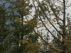 -百林公园-两江幸福广场