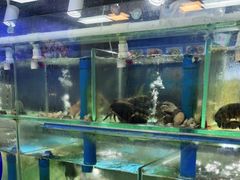 水产区-富临港·蒸汽海鲜·手抓海鲜·炒菜(栈桥店)