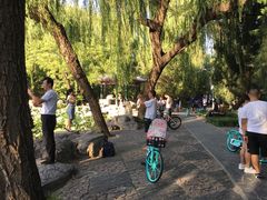 -近春园遗址
