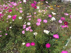 -长白山万达喜来登度假酒店