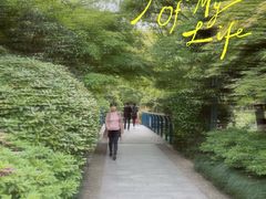 -杭州城北体育公园