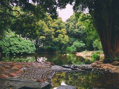 -成都市活水公园