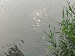 -文瀛公园