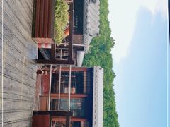 -大湾区中央湿地公园