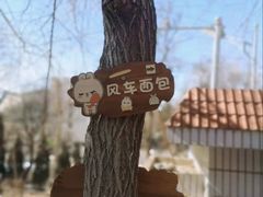 -风车面包