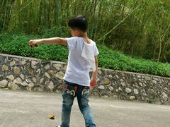 -广东茂名森林公园