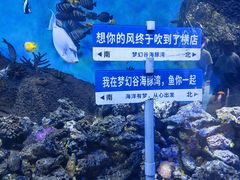 -横店影视城梦幻谷园区