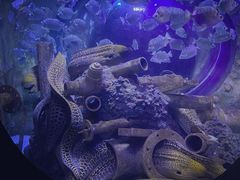 -成都浩海立方海洋公园