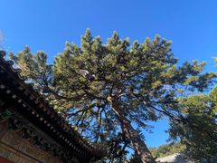 -潭柘寺景区