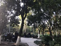 -花溪公园