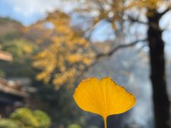 -普陀山风景名胜区-法雨禅寺