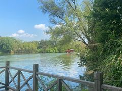 -西溪国家湿地公园