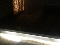 -御池园(顾村公园店)