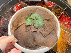 -俏媳妇火锅(宽窄巷子店)