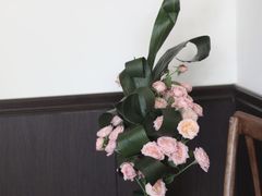-椿树咖啡