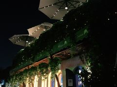 -Sirena海妖日咖夜酒