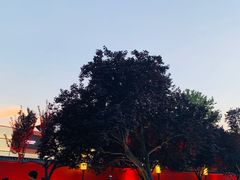 -大雁塔文化休闲景区-北广场