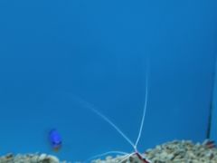 -北戴河圣蓝海洋公园